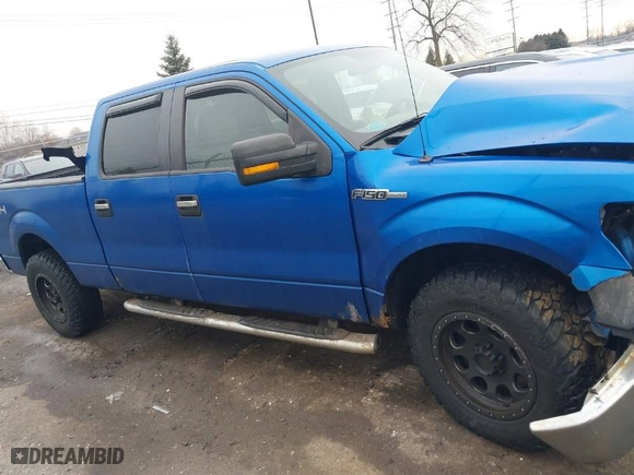 2010 Ford F-150 XL with VIN 1FTFW1EV9AFD53855, listed as a IAAI auction lot 41673966 with 144,118 mi miles. Bid and sale history available at carsss.com. Image 13.