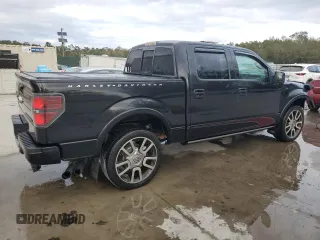 2010 Ford F-150 with VIN 1FTEW1CV0AFB54367, listed as a Copart auction lot 78797254 with 220,357 mi miles and Salvage title. Bid and sale history available at DreamBid. Image 3.