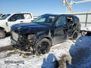 2022 Kia Telluride SX with VIN 5XYP5DHC9NG281139, listed as a Copart auction lot 46356935 with 39,593 mi miles and Salvage Title. Bid and sale history available at carsss.com. Image 1.