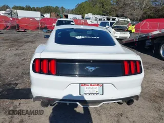 2017 Ford Mustang EcoBoost with VIN 1FA6P8TH8H5212333, listed as a IAAI auction lot 41278690 with 66,714 mi miles. Bid and sale history available at carsss.com. Image 17.