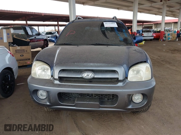 2006 Hyundai Santa Fe GLS with VIN KM8SC13D36U105732, listed as a IAAI auction lot 41733084 with 224,400 mi miles. Bid and sale history available at carsss.com. Image 6.