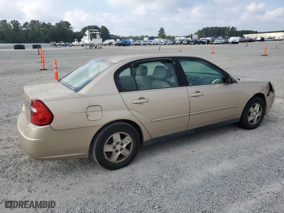 2005 Chevrolet Malibu LS with VIN 1G1ZT52825F254014, listed as a Copart auction lot 73671974 with 120,480 mi miles and Salvage Title. Bid and sale history available at carsss.com. Image 3.