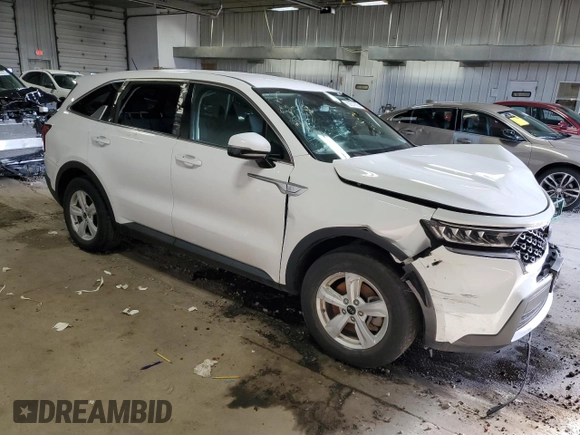 2021 Kia Sorento LX with VIN 5XYRG4LC6MG067363, listed as a Copart auction lot 50237805 with Not Provided miles and Clean Title. Bid and sale history available at carsss.com. Image 4.
