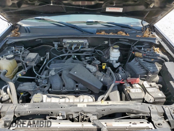 2008 Mercury Mariner с VIN 4M2CU81168KJ12240, выставлен на аукционе Copart как лот 57381845 с пробегом 184 119 миль миль и Списание • Salvage title. История ставок и продаж доступна на DreamBid. Изображение 12.