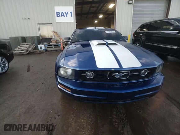 2006 Ford Mustang Standard with VIN 1ZVFT80N065228777, listed as a Copart auction lot 42542475 with 183,337 mi miles and Salvage Title. Bid and sale history available at carsss.com. Image 13.