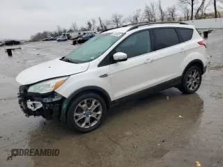 2013 Ford Escape SEL with VIN 1FMCU9HX9DUB17366, listed as a Copart auction lot 44166945 with 160,033 mi miles and Salvage Title. Bid and sale history available at carsss.com. Image 1.