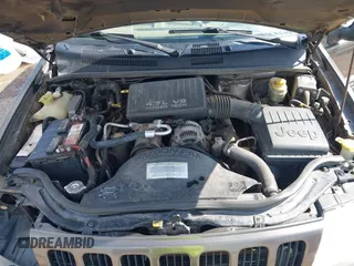 1999 Jeep Grand Cherokee Limited with VIN 1J4GW68N5XC773100, listed as a IAAI auction lot 41998432 with Not provided miles and . Bid and sale history available at DreamBid. Image 10.