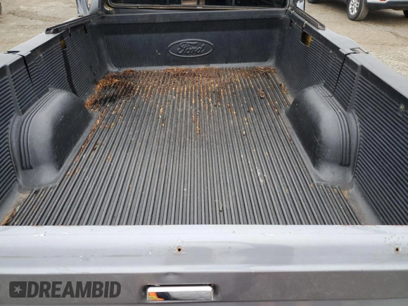 1987 Ford F-150 with VIN 1FTDF15Y6HPA66012, listed as a Copart auction lot 85805244 with 32,344 mi miles and Salvage Title. Bid and sale history available at carsss.com. Image 10.