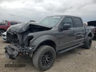 2016 Ford F-150 XL with VIN 1FTEW1CG8GKD87141, listed as a Copart auction lot 54895015 with 210,201 mi miles and Salvage title. Bid and sale history available at DreamBid. Image 1.