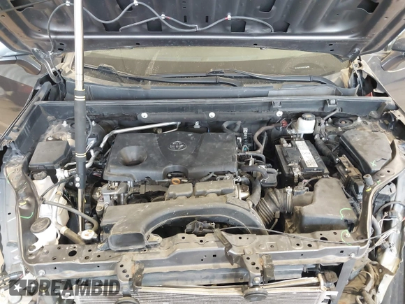 2019 Toyota RAV4 XLE with VIN 2T3P1RFV8KW057323, listed as a IAAI auction lot 42510231 with 59,003 mi miles and . Bid and sale history available at DreamBid. Image 10.
