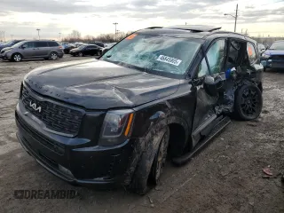 2022 Kia Telluride SX with VIN 5XYP5DHC3NG303152, listed as a Copart auction lot 46845905 with 45,661 mi miles and Salvage Title. Bid and sale history available at carsss.com. Image 1.