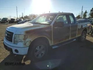 2009 Ford F-150 STX with VIN 1FTRX14W89KC77987, listed as a Copart auction lot 43269225 with 254,567 mi miles and Salvage Title. Bid and sale history available at DreamBid. Image 1.