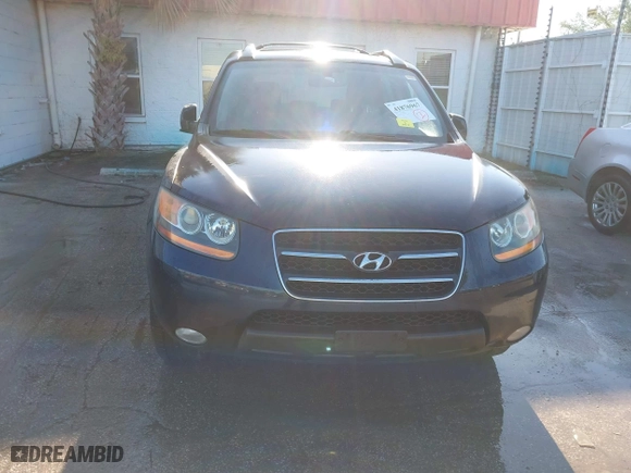 2009 Hyundai Santa Fe SE with VIN 5NMSH13E69H234946, listed as a IAAI auction lot 41876967 with 182,437 mi miles. Bid and sale history available at carsss.com. Image 6.