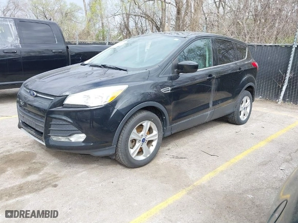 2014 Ford Escape SE with VIN 1FMCU9GX2EUC44219, listed as a IAAI auction lot 41851650 with 115,544 mi miles. Bid and sale history available at carsss.com. Image 2.