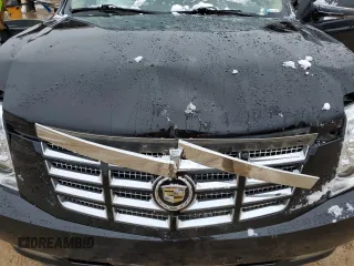 2012 Cadillac Escalade Luxury z VIN 1GYS4BEF2CR146125, wystawiony jako Copart lot #45940085 z przebiegiem 214 164 mil mil oraz Szkoda całkowita • Salvage title. Historia ofert i sprzedaży dostępna na DreamBid. Obrazek 14.