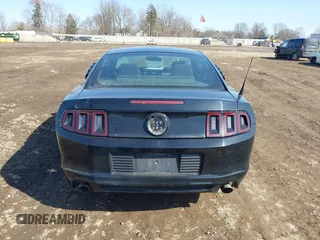 2013 Ford Mustang V6 with VIN 1ZVBP8AM3D5235860, listed as a IAAI auction lot 41778077 with 163,671 mi miles and . Bid and sale history available at DreamBid. Image 16.