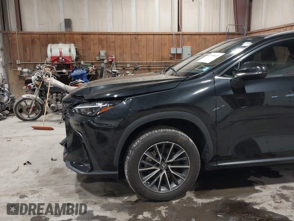 2022 Lexus NX with VIN JTJAGCEZ0N2003241, listed as a IAAI auction lot 41509411 with 53,287 mi miles. Bid and sale history available at carsss.com. Image 17.
