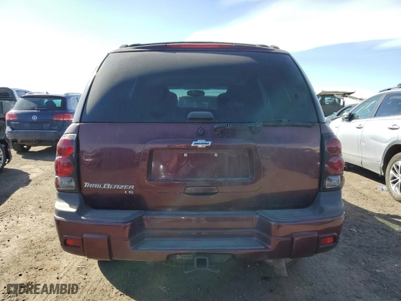 2006 Chevrolet TrailBlazer LS with VIN 1GNDT13S562309429, listed as a Copart auction lot 48631095 with 143,002 mi miles and Salvage Title. Bid and sale history available at carsss.com. Image 6.