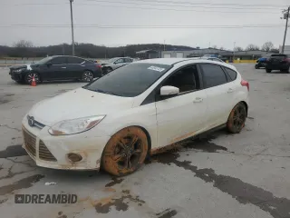2014 Ford Focus SE with VIN 1FADP3K22EL127373, listed as a Copart auction lot 46043725 with Not Provided miles and Salvage Title. Bid and sale history available at DreamBid. Image 1.