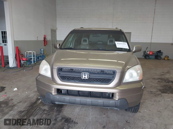 2005 Honda Pilot EX-L with VIN 5FNYF18565B019345, listed as a IAAI auction lot 41641423 with 282,099 mi miles. Bid and sale history available at carsss.com. Image 12.