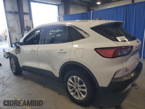 2022 Ford Escape SE with VIN 1FMCU9G61NUA60865, listed as a Copart auction lot 53149995 with Not provided miles and Salvage title. Bid and sale history available at DreamBid. Image 2.