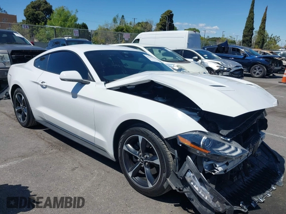 2021 Ford Mustang EcoBoost with VIN 1FA6P8TH4M5148415, listed as a IAAI auction lot 41945395 with 51,599 mi miles and . Bid and sale history available at DreamBid. Image 13.