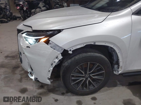 2024 Lexus NX with VIN 2T2AGCEZ0RC034530, listed as a IAAI auction lot 41321737 with 41,875 mi miles. Bid and sale history available at carsss.com. Image 19.