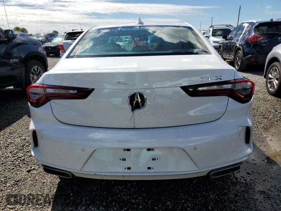 2024 Acura TLX Technology with VIN 19UUB5F45RA000538, listed as a Copart auction lot 73883594 with Not Provided miles and Non Repairable. Bid and sale history available at DreamBid. Image 6.