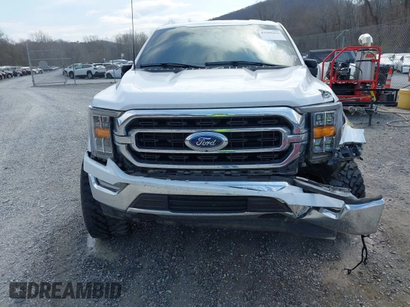 2023 Ford F-150 XL with VIN 1FTEW1C58PKE81292, listed as a IAAI auction lot 41900494 with 34,753 mi miles and . Bid and sale history available at DreamBid. Image 6.
