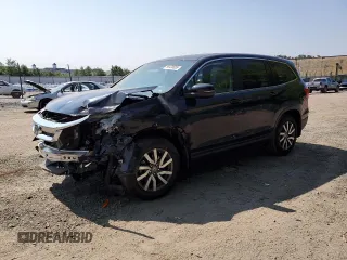 2019 Honda Pilot EX-L with VIN 5FNYF5H5XKB031517, listed as a Copart auction lot 59430655 with 64,929 mi miles and Salvage title. Bid and sale history available at DreamBid. Image 1.