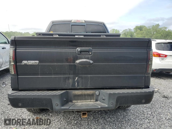 2013 Ford F-150 XL with VIN 1FTFW1EF8DFA98497, listed as a Copart auction lot 55030295 with 231,057 mi miles and Salvage title. Bid and sale history available at DreamBid. Image 6.