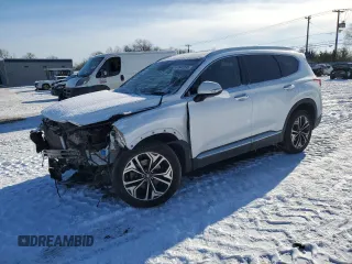 2020 Hyundai Santa Fe SEL with VIN 5NMS3CAA8LH299704, listed as a Copart auction lot 41842335 with 55,980 mi miles and Salvage Title. Bid and sale history available at carsss.com. Image 1.