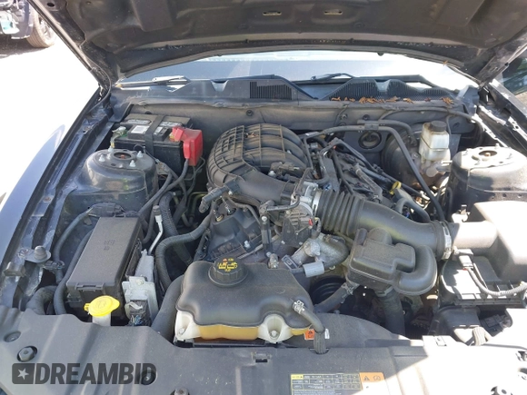 2013 Ford Mustang V6 with VIN 1ZVBP8AM9D5220487, listed as a IAAI auction lot 42189571 with 132,388 mi miles and . Bid and sale history available at DreamBid. Image 10.