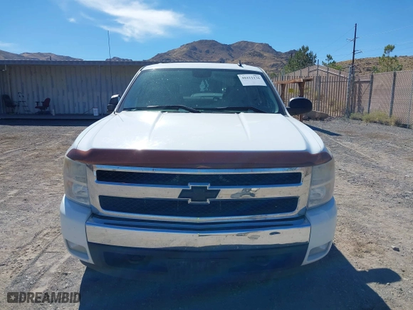2007 Chevrolet Silverado 1500 LS with VIN 2GCEK13C071539373, listed as a IAAI auction lot 40411136 with 168,254 mi miles. Bid and sale history available at carsss.com. Image 6.
