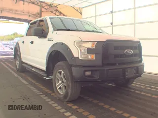2016 Ford F-150 XLT with VIN 1FTEW1EFXGFB64810, listed as a Copart auction lot 53211765 with 252,241 mi miles and Clean Title. Bid and sale history available at carsss.com. Image 1.