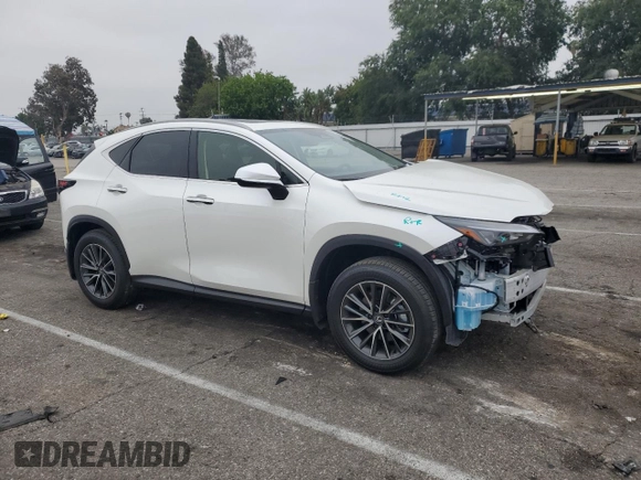 2025 Lexus NX 250 Premium with VIN JTJGDCAZ6S2025006, listed as a Copart auction lot 59337965 with 1,219 mi miles and Salvage title. Bid and sale history available at DreamBid. Image 4.