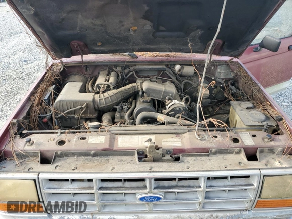 1992 Ford Ranger Splash with VIN 1FTCR10A7KUC02265, listed as a Copart auction lot 68237674 with 22,726 mi miles and Non Repairable. Bid and sale history available at DreamBid. Image 11.