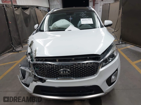 2016 Kia Sorento SXL с VIN 5XYPK4A56GG118116, выставлен на аукционе IAAI как лот 42221794 с пробегом 100 116 миль миль и . История ставок и продаж доступна на DreamBid. Изображение 12.