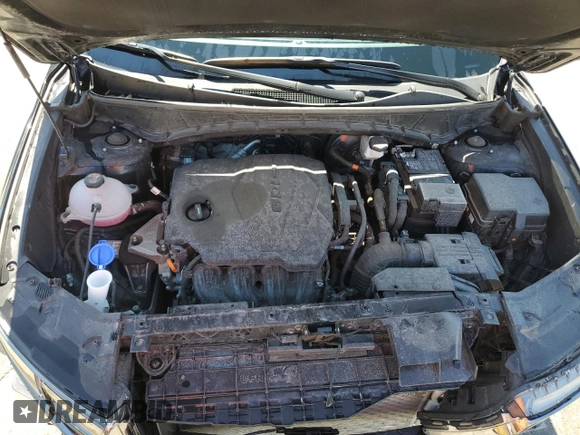 2024 Hyundai Tucson Limited with VIN 5NMJECDEXRH299555, listed as a Copart auction lot 50305005 with 48,861 mi miles and Salvage Title. Bid and sale history available at carsss.com. Image 12.