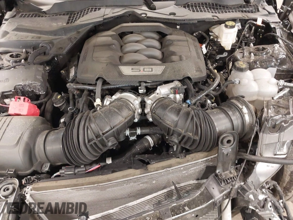 2024 Ford Mustang GT with VIN 1FA6P8CF0R5420366, listed as a IAAI auction lot 42232926 with 14,244 mi miles and . Bid and sale history available at DreamBid. Image 10.