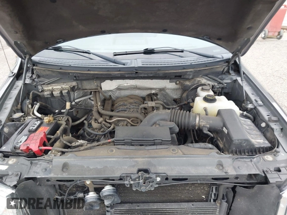 2013 Ford F-150 XL with VIN 1FTFX1EF3DFA21422, listed as a IAAI auction lot 42577828 with 185,203 mi miles and . Bid and sale history available at DreamBid. Image 10.