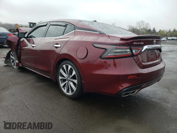 2020 Nissan Maxima Platinum with VIN 1N4AA6FV7LC368384, listed as a Copart auction lot 54126325 with Not Provided miles and Salvage Title. Bid and sale history available at DreamBid. Image 2.
