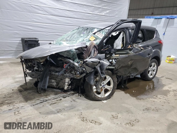 2014 Ford Escape SE with VIN 1FMCU9GX1EUB48775, listed as a Copart auction lot 47102175 with 0 mi miles and Salvage Title. Bid and sale history available at carsss.com. Image 1.