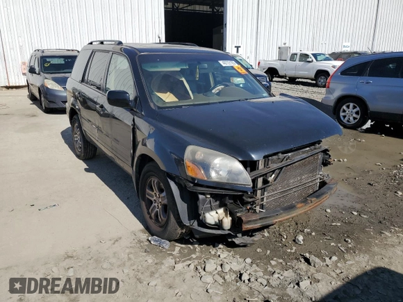 2005 Honda Pilot EX-L with VIN 2HKYF18545H554157, listed as a Copart auction lot 49722105 with 0 mi miles and Salvage Title. Bid and sale history available at carsss.com. Image 4.