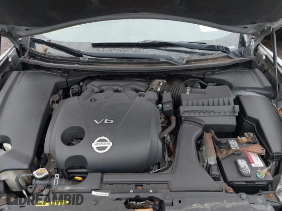 2010 Nissan Maxima 3.5 SV with VIN 1N4AA5APXAC868457, listed as a IAAI auction lot 41959523 with Not Provided miles. Bid and sale history available at carsss.com. Image 10.