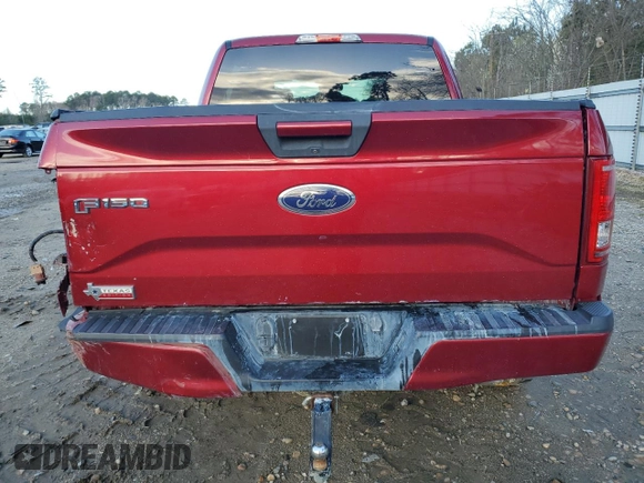 2016 Ford F-150 XL with VIN 1FTEW1CP2GKD09566, listed as a Copart auction lot 49182475 with 117,130 mi miles and Salvage Title. Bid and sale history available at DreamBid. Image 6.