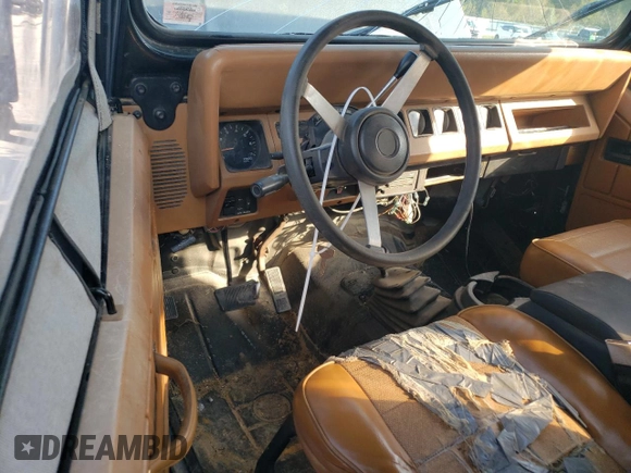 1995 Jeep Wrangler S with VIN 1J4FY19P0SP266468, listed as a Copart auction lot 74011814 with 269,912 mi miles and Salvage Title. Bid and sale history available at carsss.com. Image 8.