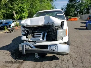 2009 Ford F-150 XL z VIN 1FTRF12W69KB72046, wystawiony jako Copart lot #59799095 z przebiegiem Nie podano mil oraz Szkoda całkowita • Salvage title. Historia ofert i sprzedaży dostępna na DreamBid. Obrazek 13.