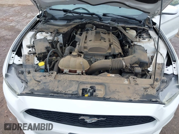 2017 Ford Mustang EcoBoost with VIN 1FA6P8TH5H5219983, listed as a IAAI auction lot 42161797 with 100,423 mi miles and . Bid and sale history available at DreamBid. Image 10.