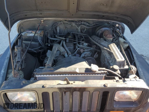 1994 Jeep Wrangler S with VIN 1J4FY19P6RP453045, listed as a Copart auction lot 73837484 with 165,406 mi miles and Clean Title. Bid and sale history available at carsss.com. Image 11.